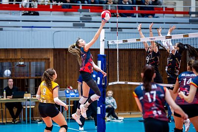 NET_6718F_Pavel_Netolicka