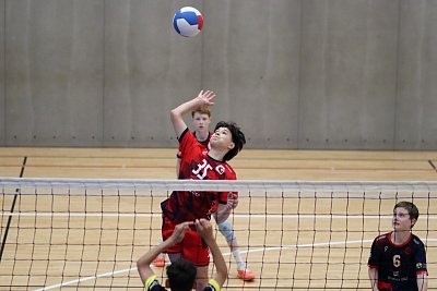 IMG_2292