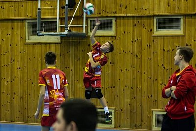 80541188_3548935055147468_124827